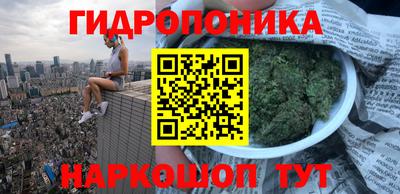 эйфоретик Краснознаменск