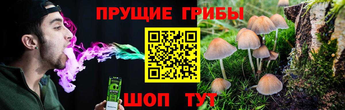 Галлюциногенные грибы мицелий  Вход с VPN  где найти наркотики  Каменка 