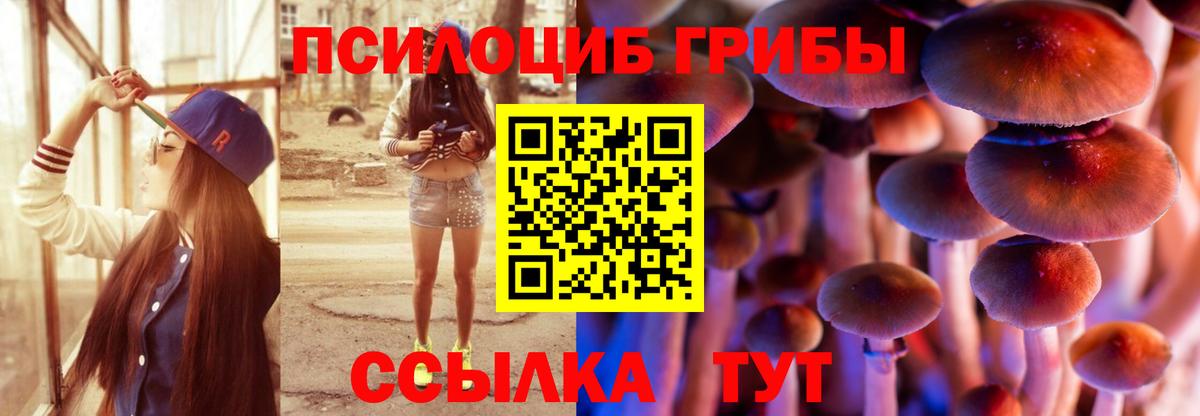 Галлюциногенные грибы MAGIC MUSHROOMS Каменка